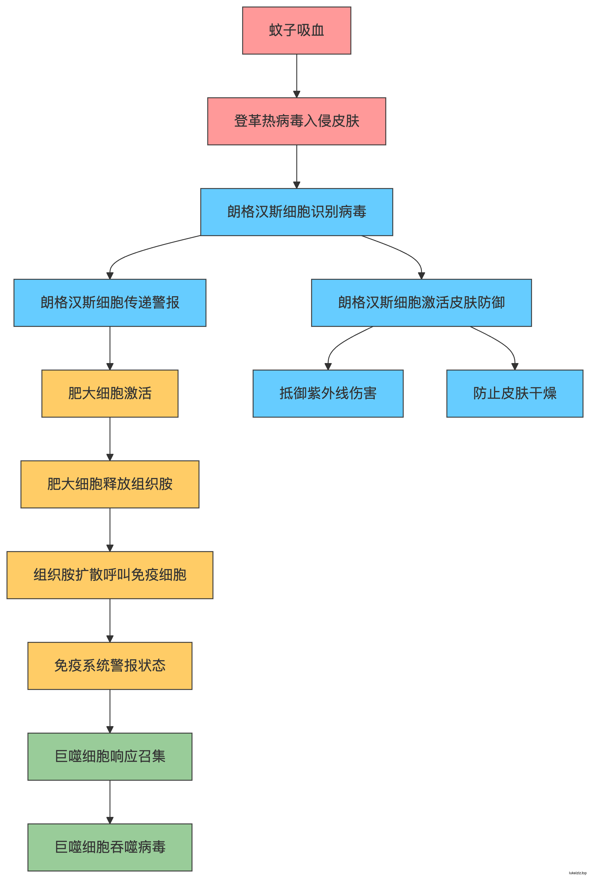 2025-07-29T14:46:52.png